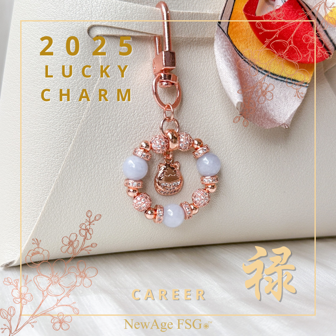Jade Lucky Bag Charm (4 Designs)